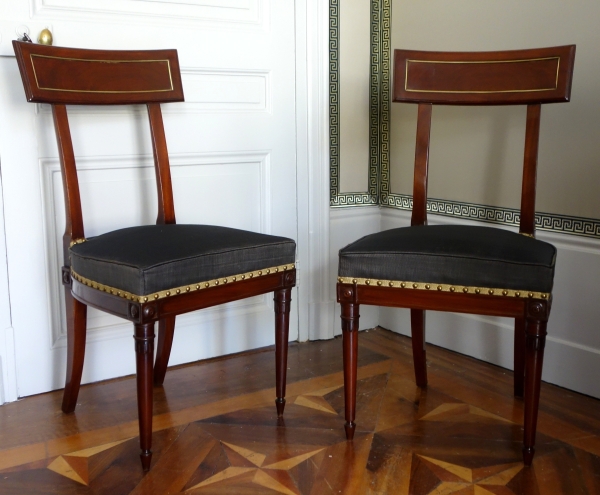 Détail — Paire de chaises à l'étrusque en acajou d'époque Directoire, couverture en crin de cheval
