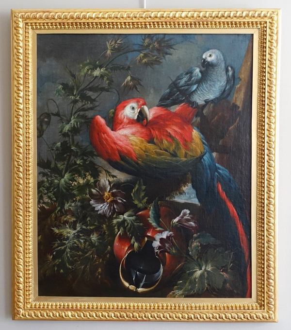 Détail — Ecole hollandaise du XVIIe siècle, perroquet et perruche, HST attribuée à Mathias Withoos - 109cm x 93,5cm